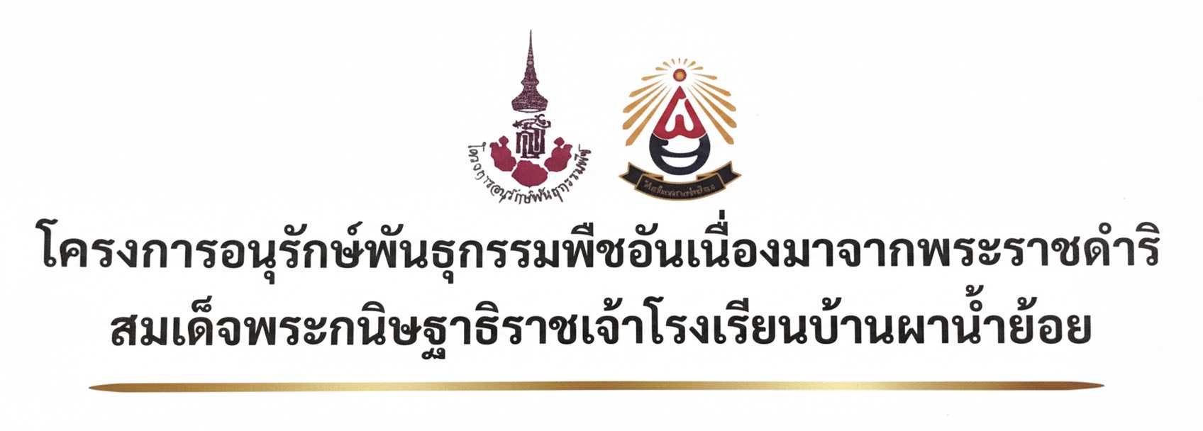 โครงการอนุรักษ์พันธุกรรมพืชอันเนื่องมาจากพระราชดำริสมเด็จพระกนิษฐาธิราชเจ้าโรงเรียนบ้านผาน้ำย้อย