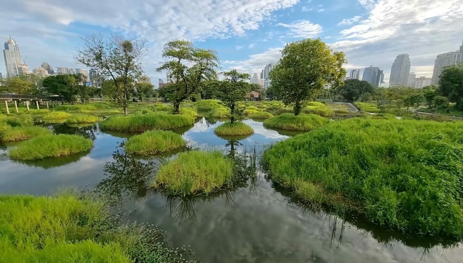 การฟื้นฟูพื้นที่สีเขียวใจกลางเมืองในแนวทาง Nature-based Solutions : สวนป่าเบญจกิติ