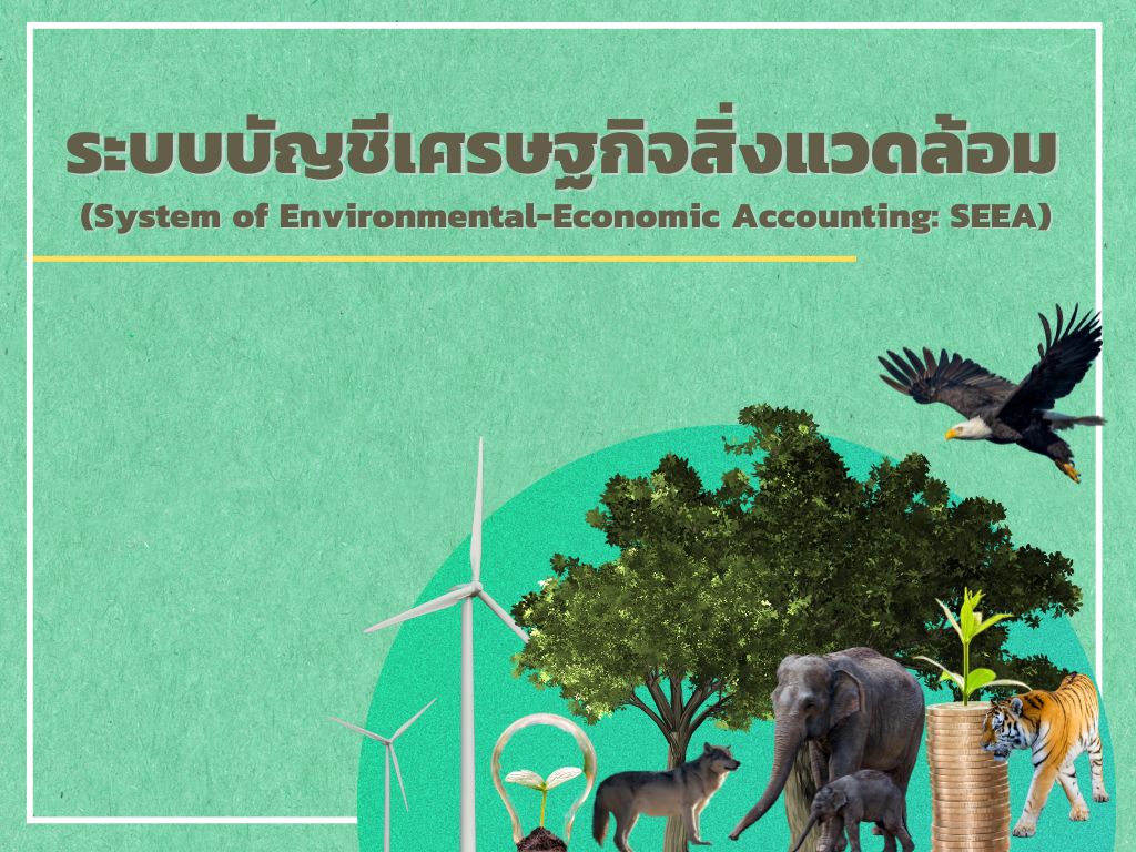 ระบบบัญชีเศรษฐกิจสิ่งแวดล้อม บัญชีระบบนิเวศ