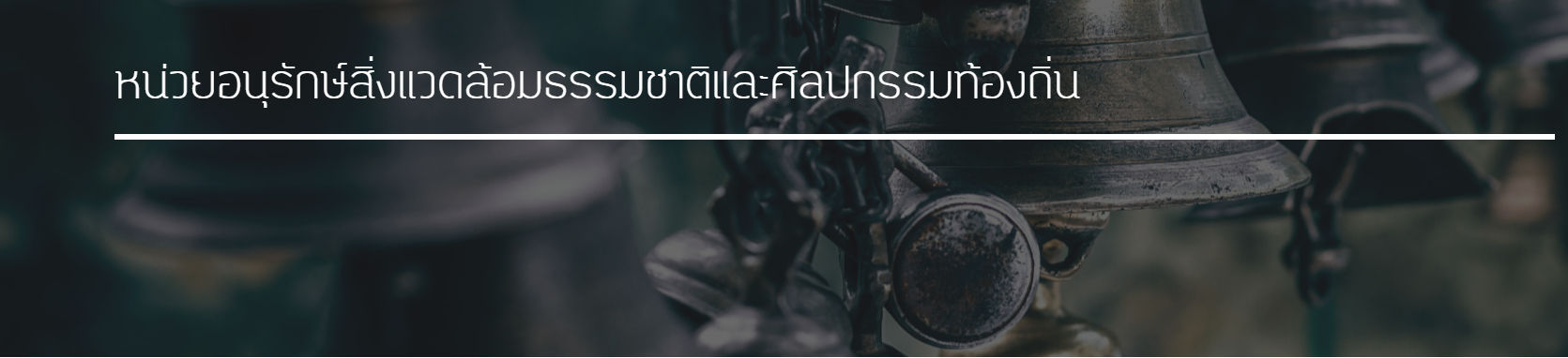 หน่วยอนุรักษ์สิ่งแวดล้อมธรรมชาติและศิลปกรรมท้องถิ่น