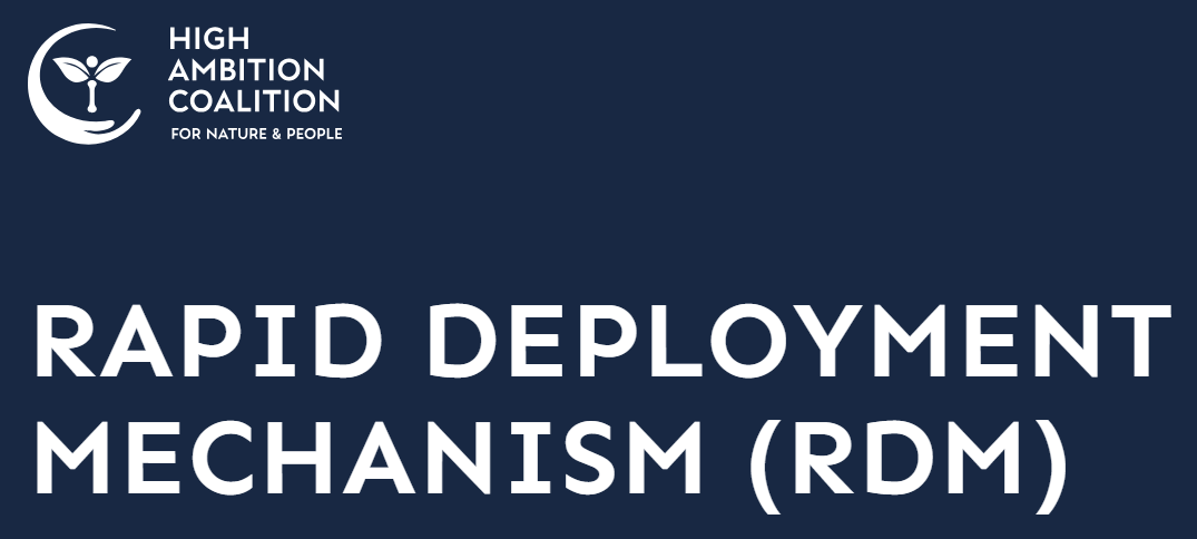 Rapid Deployment Mechanism (RDM)
