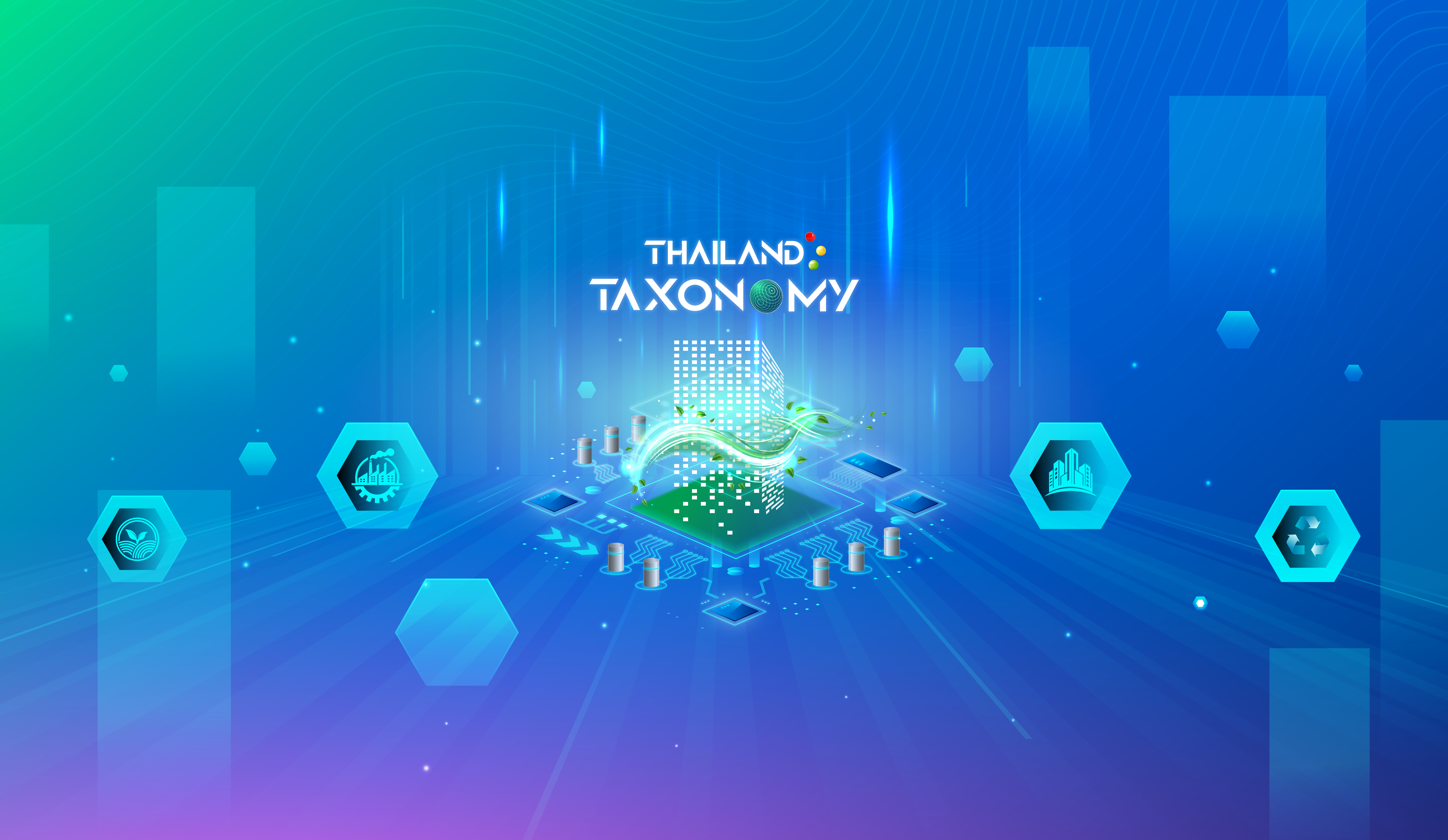Thailand Taxonomy
