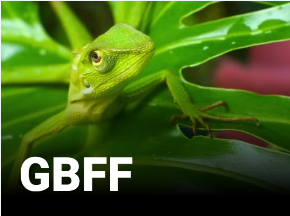 Global Biodiversity Framework Fund (GBFF)